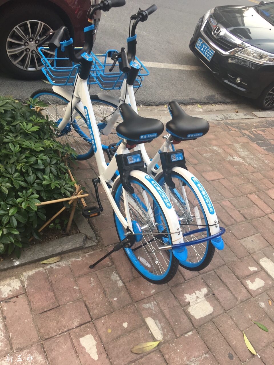 哈罗单车加私锁举报有无用