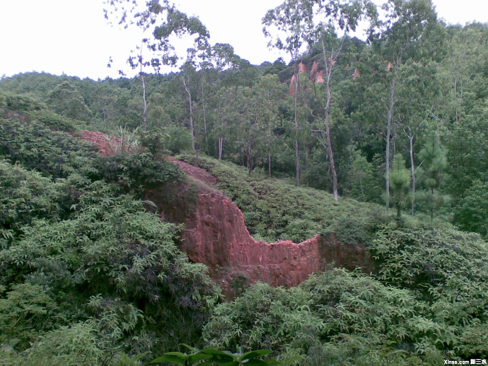 20100824_010.jpg