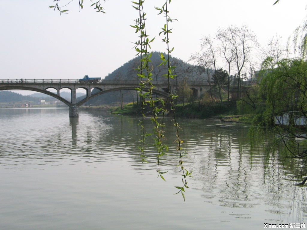 200542234028963.jpg