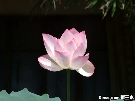 DSCF2972.JPG