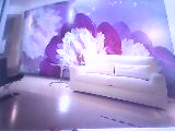 IMG0159A.jpg