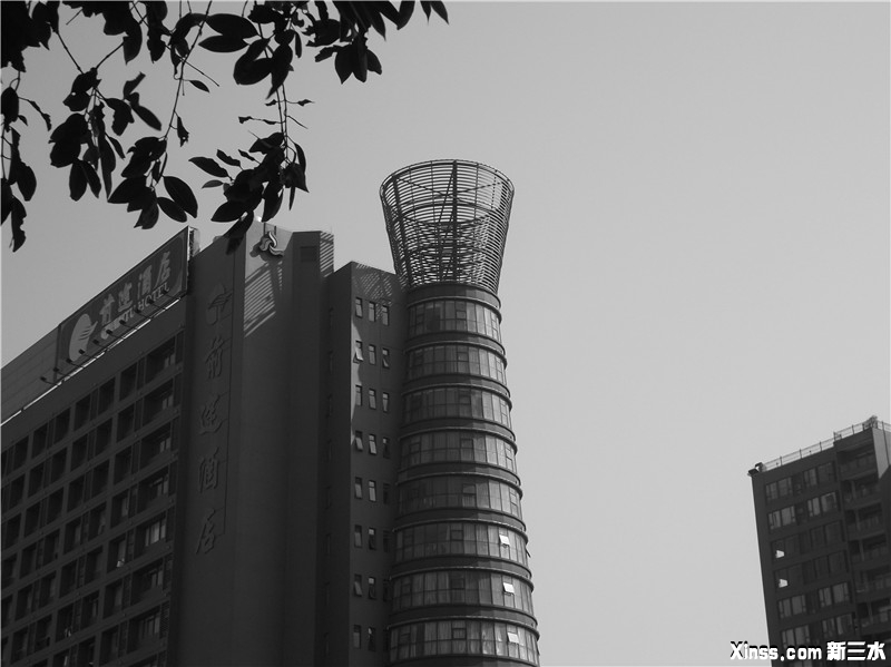 DSCF0969.jpg