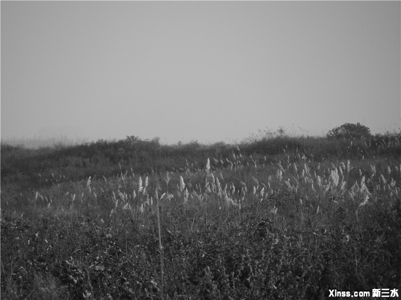 DSCF1033.jpg