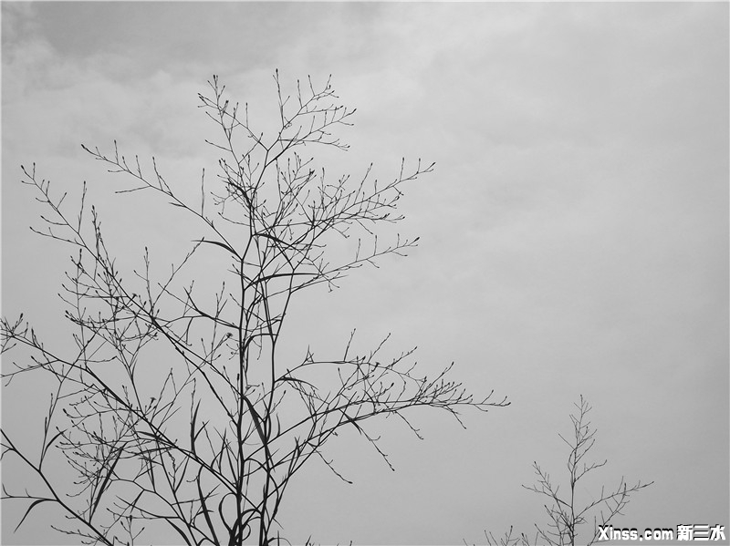 DSCF1124.jpg