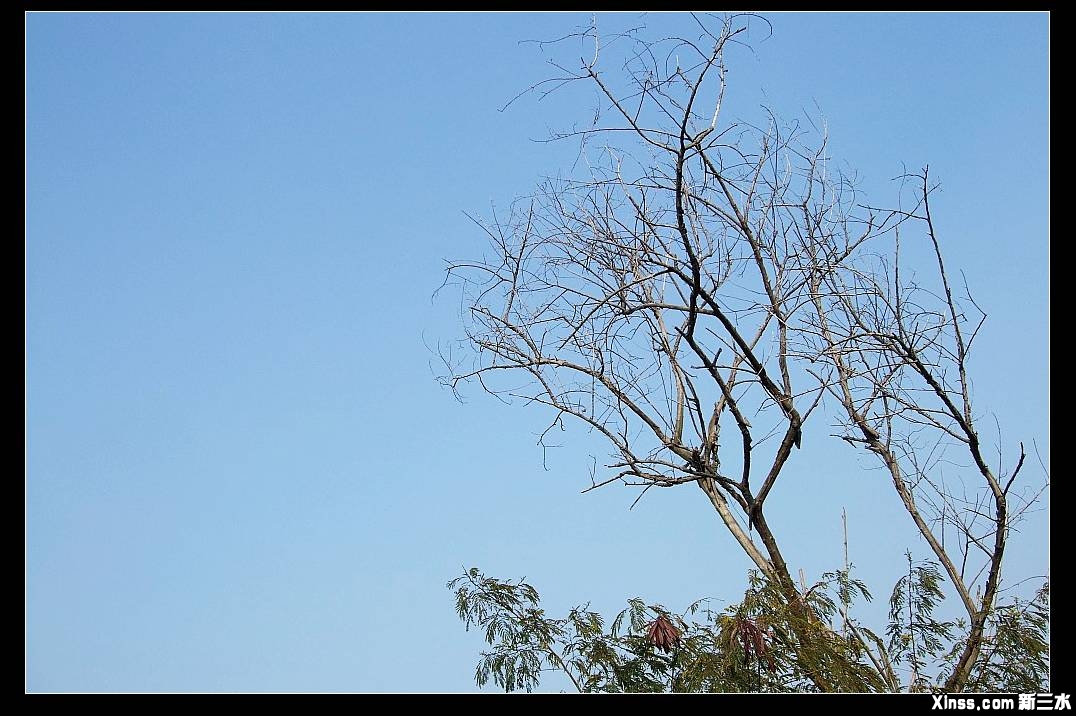 DSCF1144.jpg