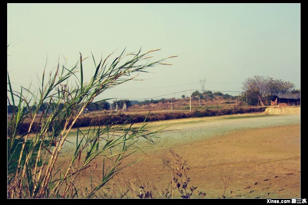 DSCF1156.jpg