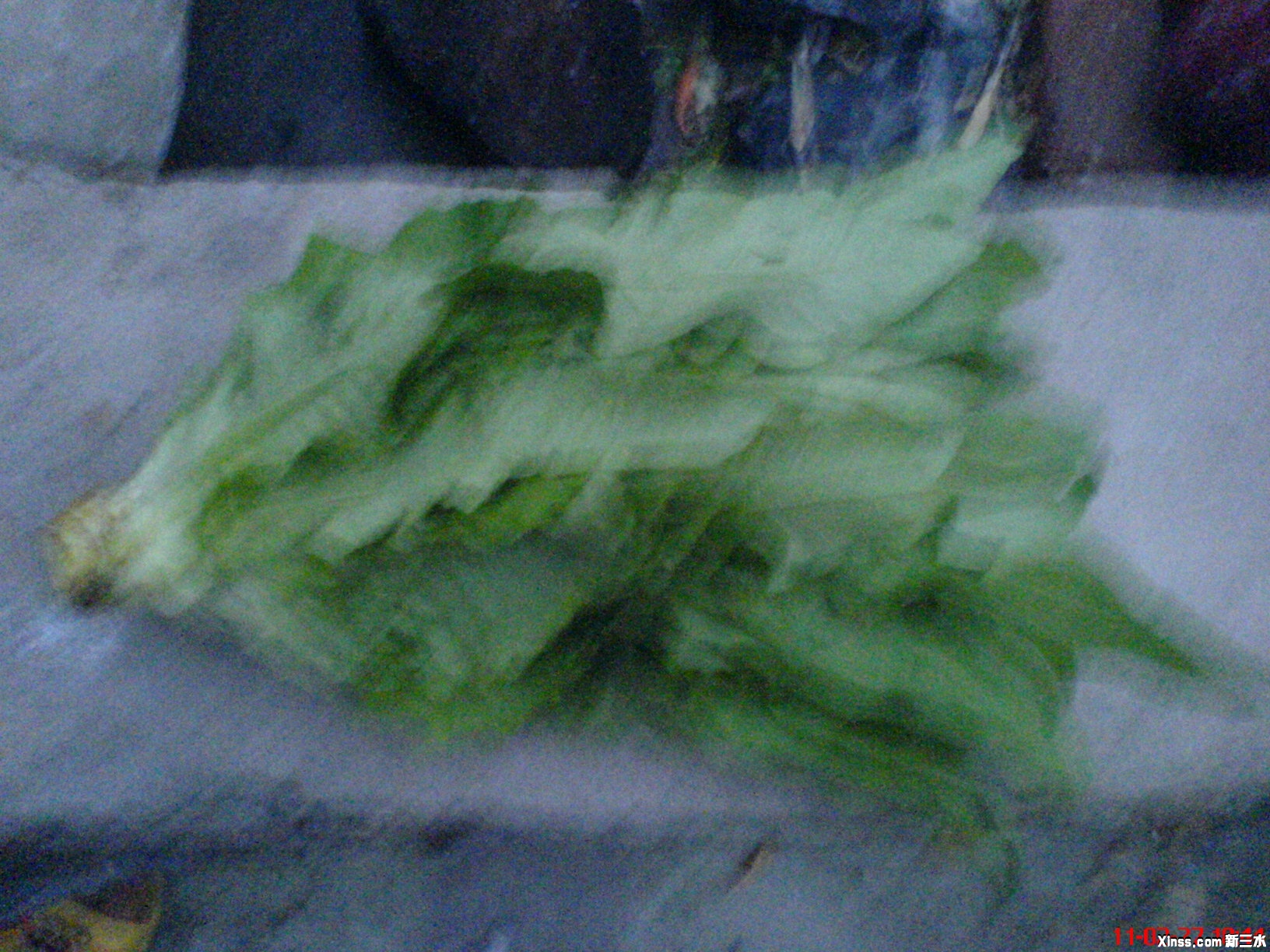 成斤重噶油麦菜