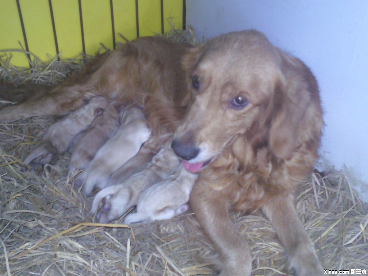 1101241923a49edd136c55dad1.jpg.thumb.jpg