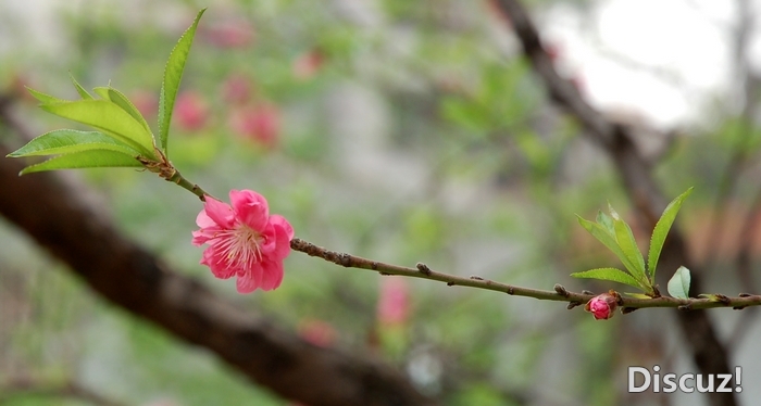 nEO_IMG_DSC_37858.jpg