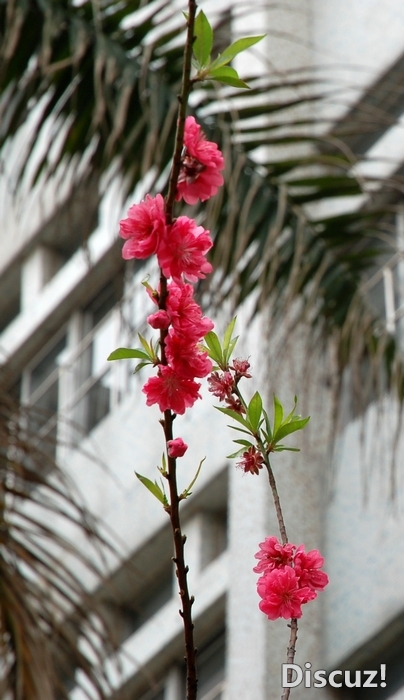 nEO_IMG_DSC_37847.jpg