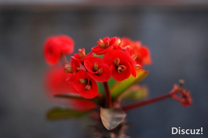 ��֪���ֵĻ�