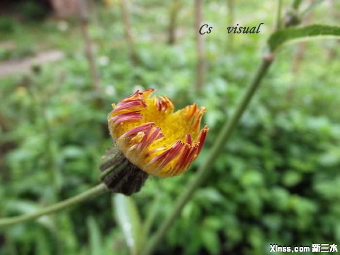 DSCF4219.jpg拷贝.jpg