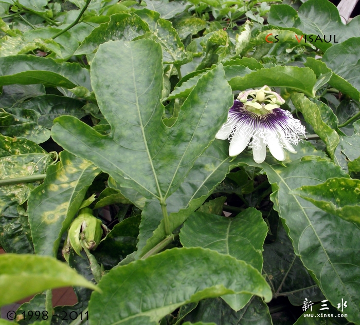 DSCF4918 拷贝.jpg