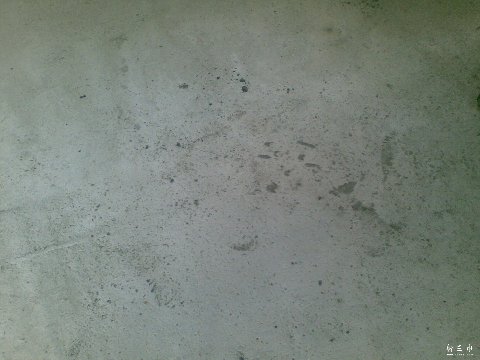 20110518.jpg