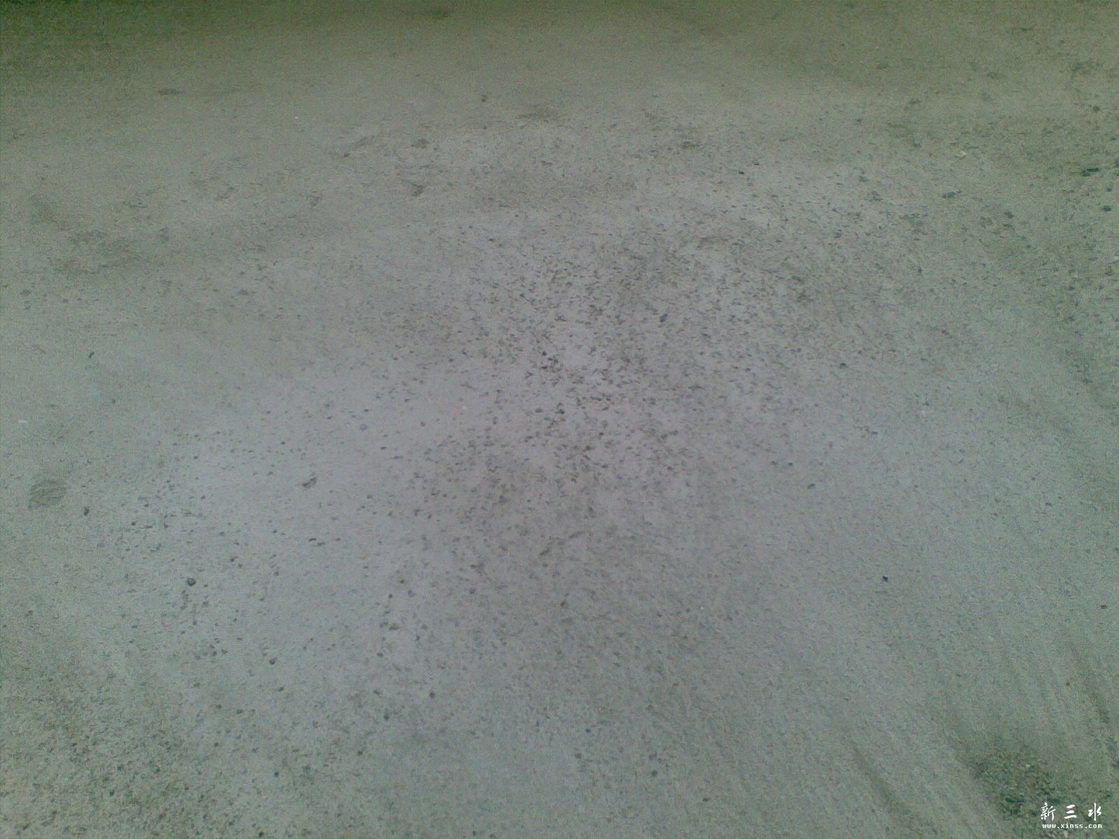 20110518(004).jpg