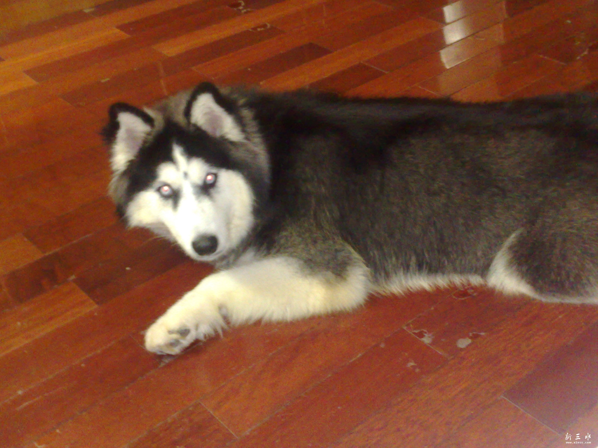 040120113721.jpg