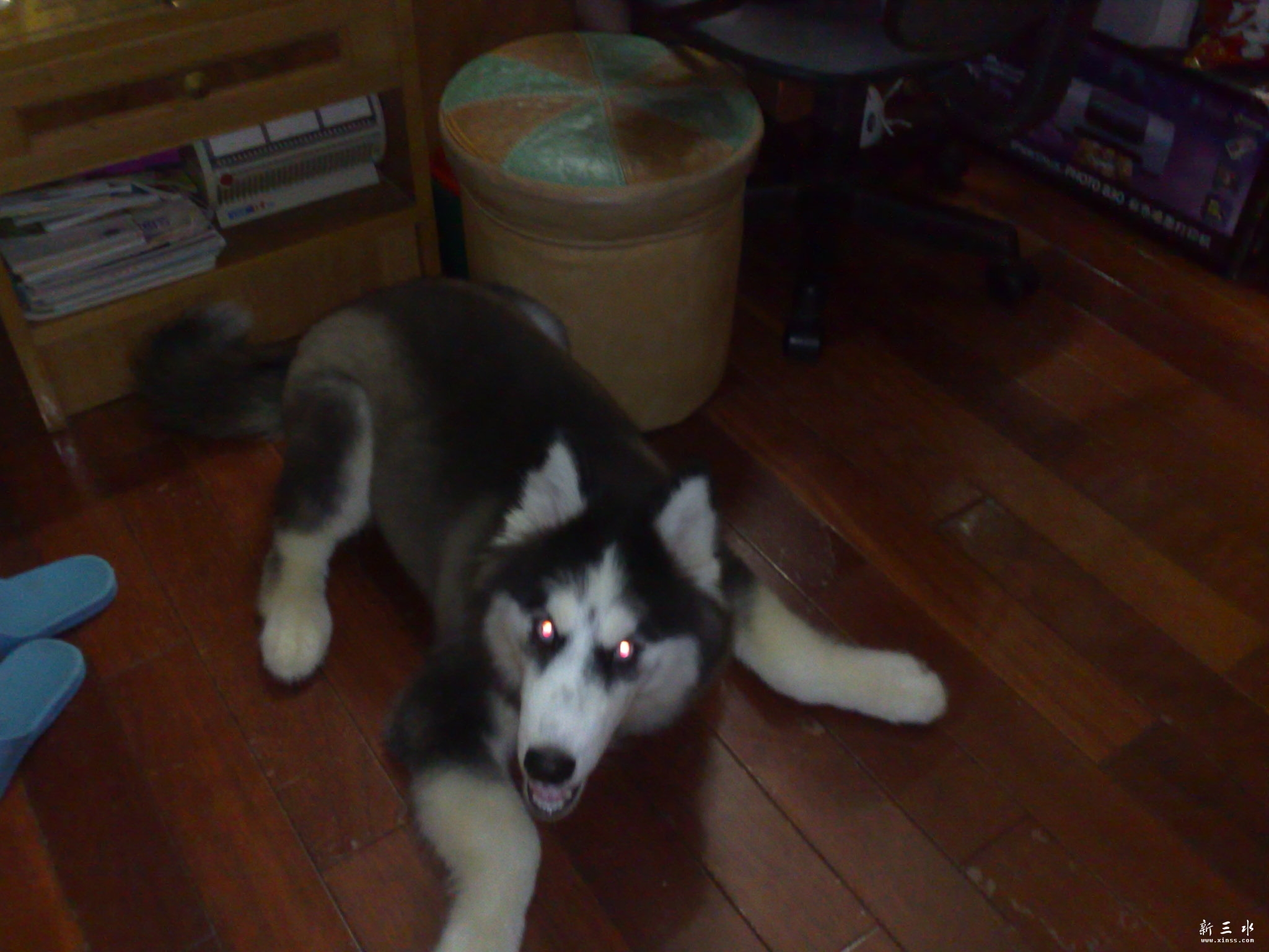 080820103035.jpg