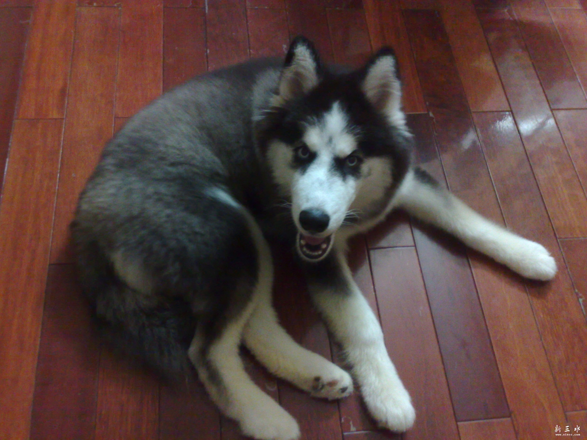 080820103041.jpg