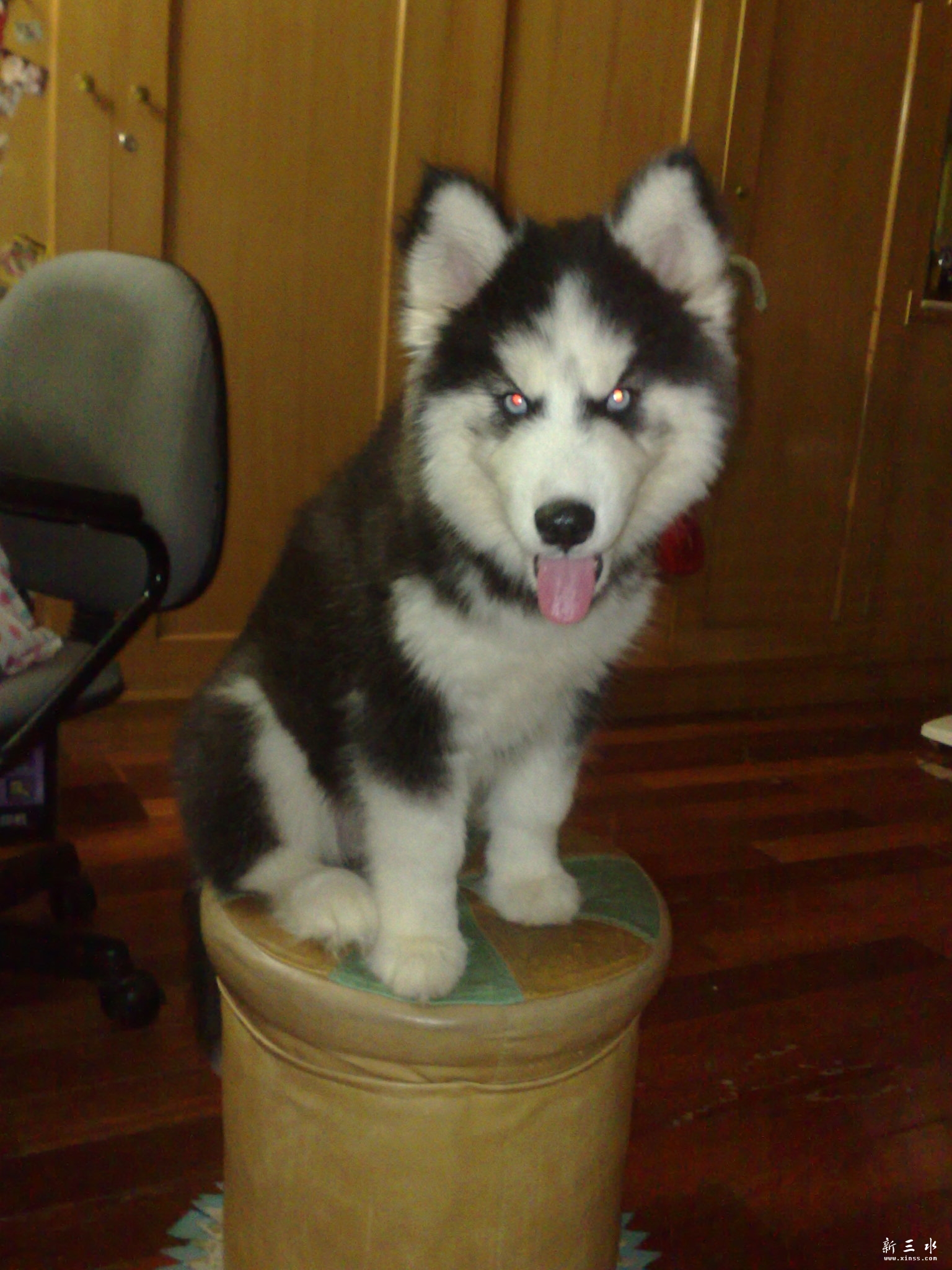 290520102750.jpg