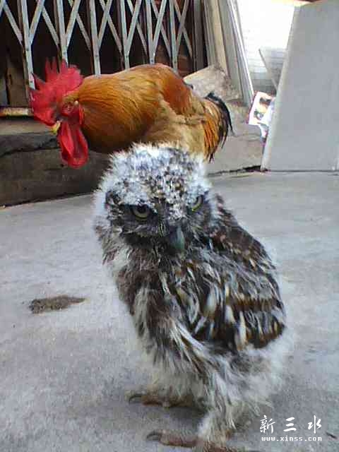 img0624_070947362.jpg