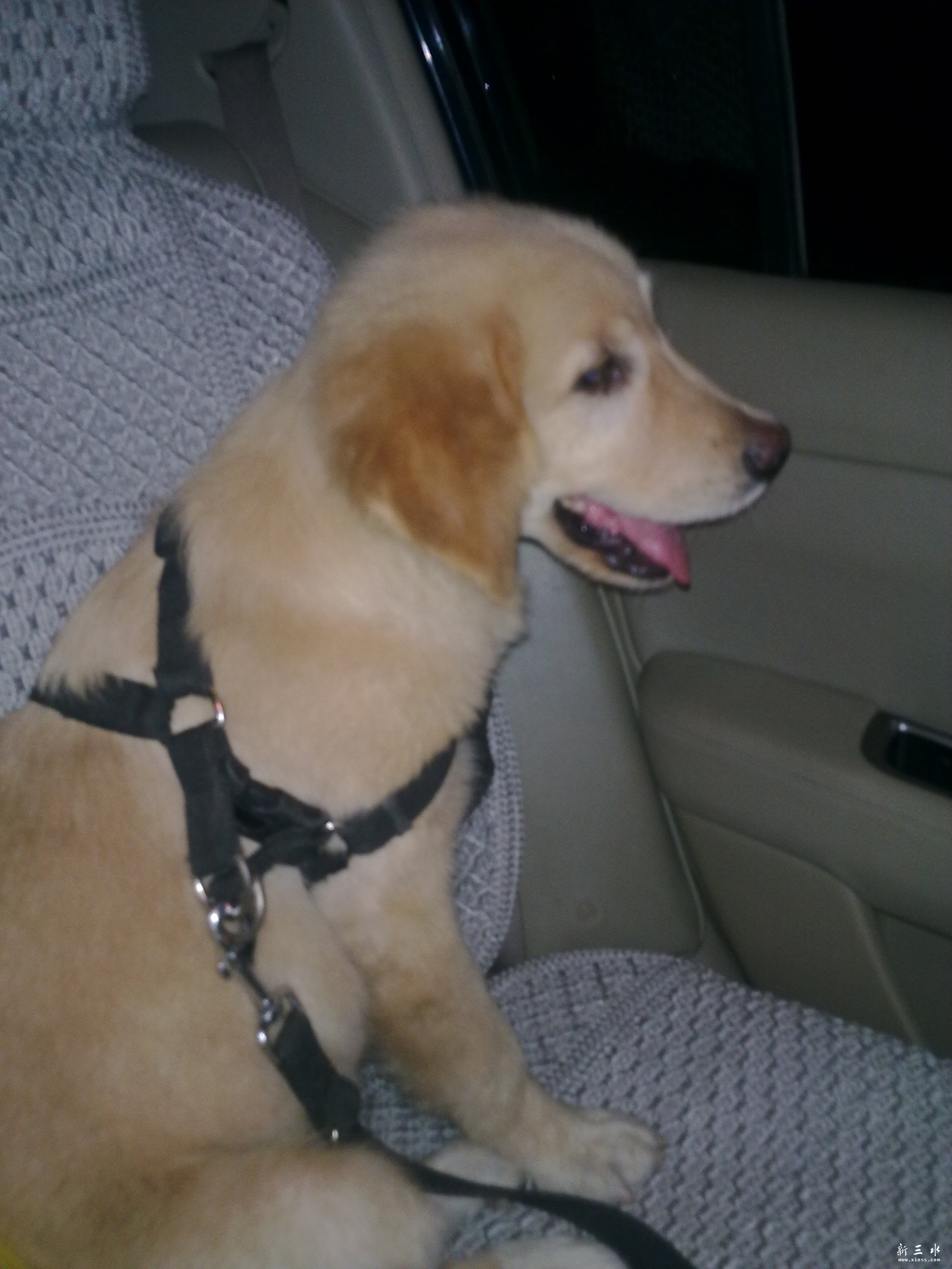 201106221954.jpg