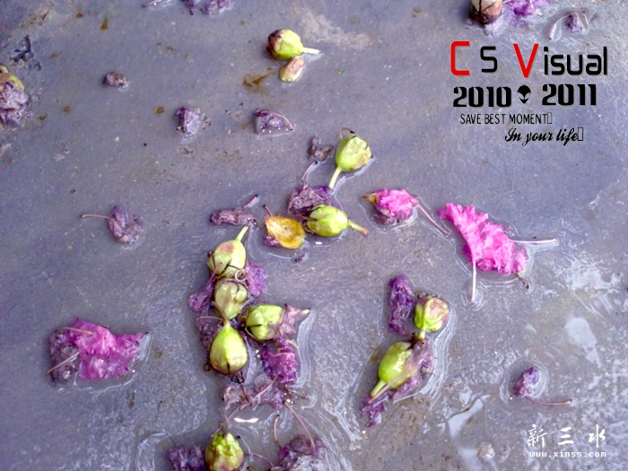 20110712226 拷贝.jpg