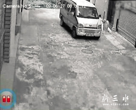 狗狗.jpg