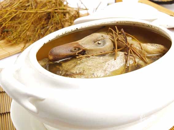 2010112511302230302.jpg