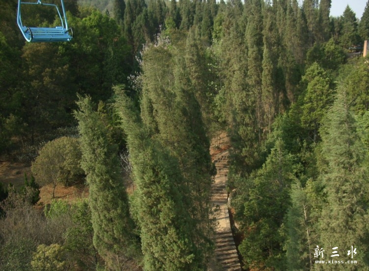 [NITX6GLZP%P1[PQ6SP4Y.jpg