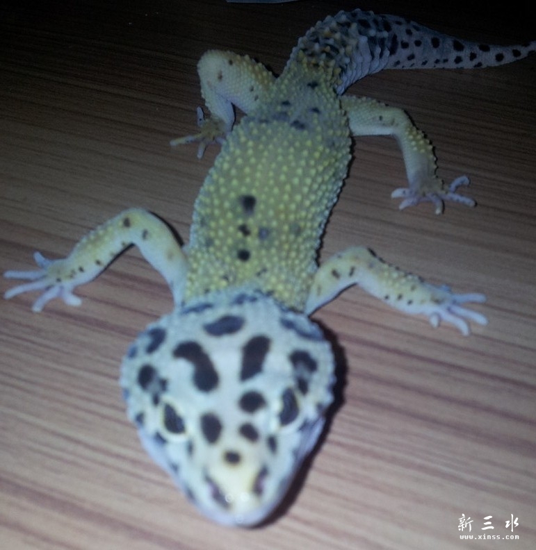 未命名.jpg