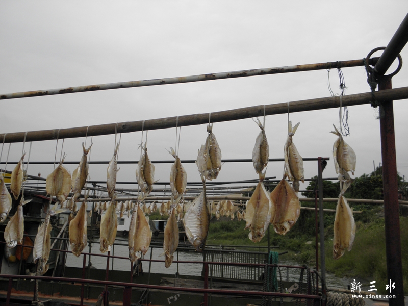 PA050017.jpg