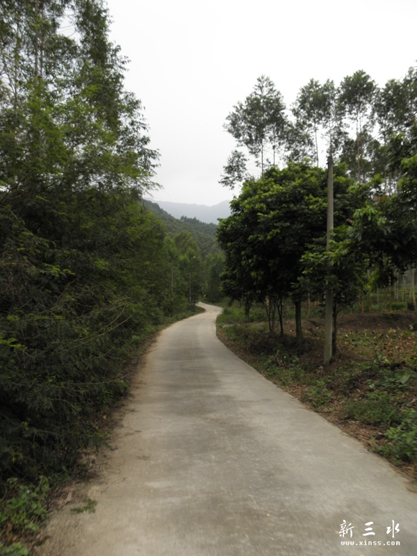 PA050056.jpg