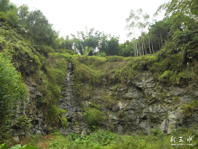 PA050057.jpg