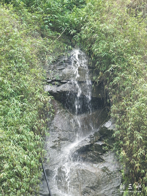 PA050059.jpg