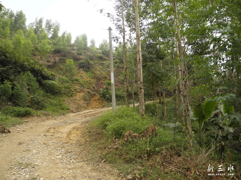 PA050062.jpg