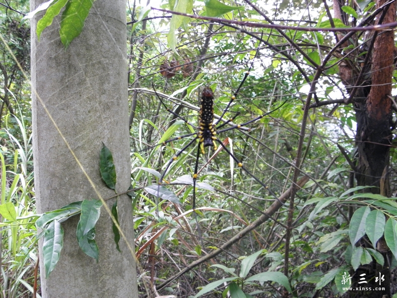 PA050067.jpg