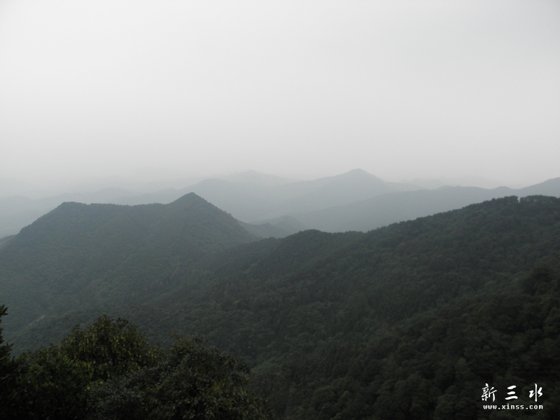 PA050077.jpg