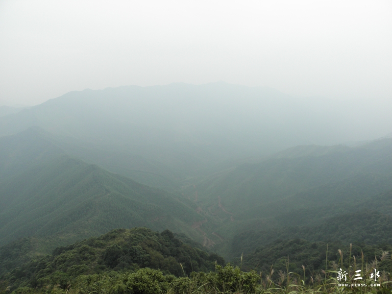 PA050079.jpg