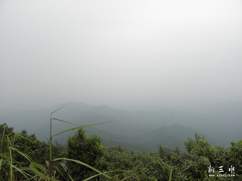 PA050082.jpg