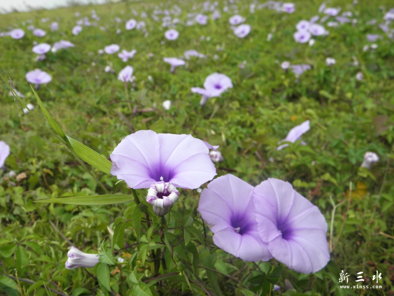 PA060151.jpg