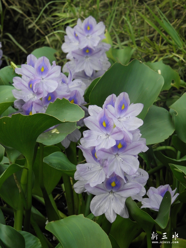 PA060143.jpg