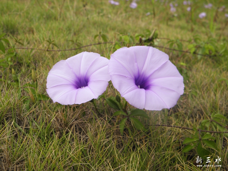 PA060147.jpg