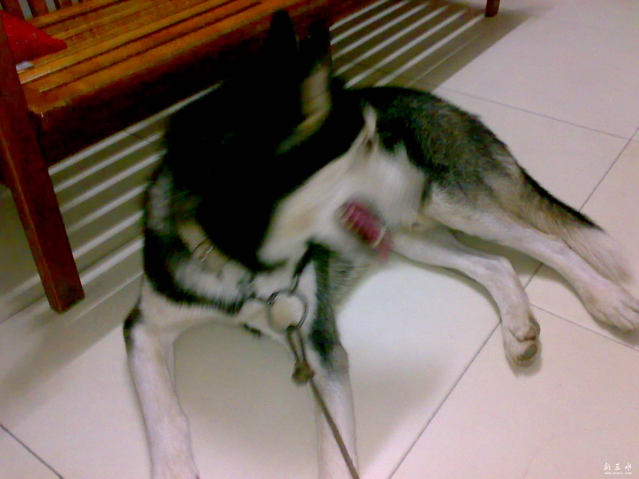 20111015268.jpg