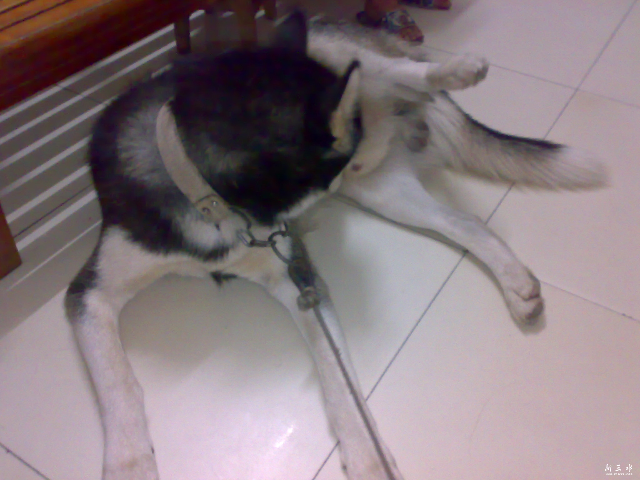 20111015269.jpg