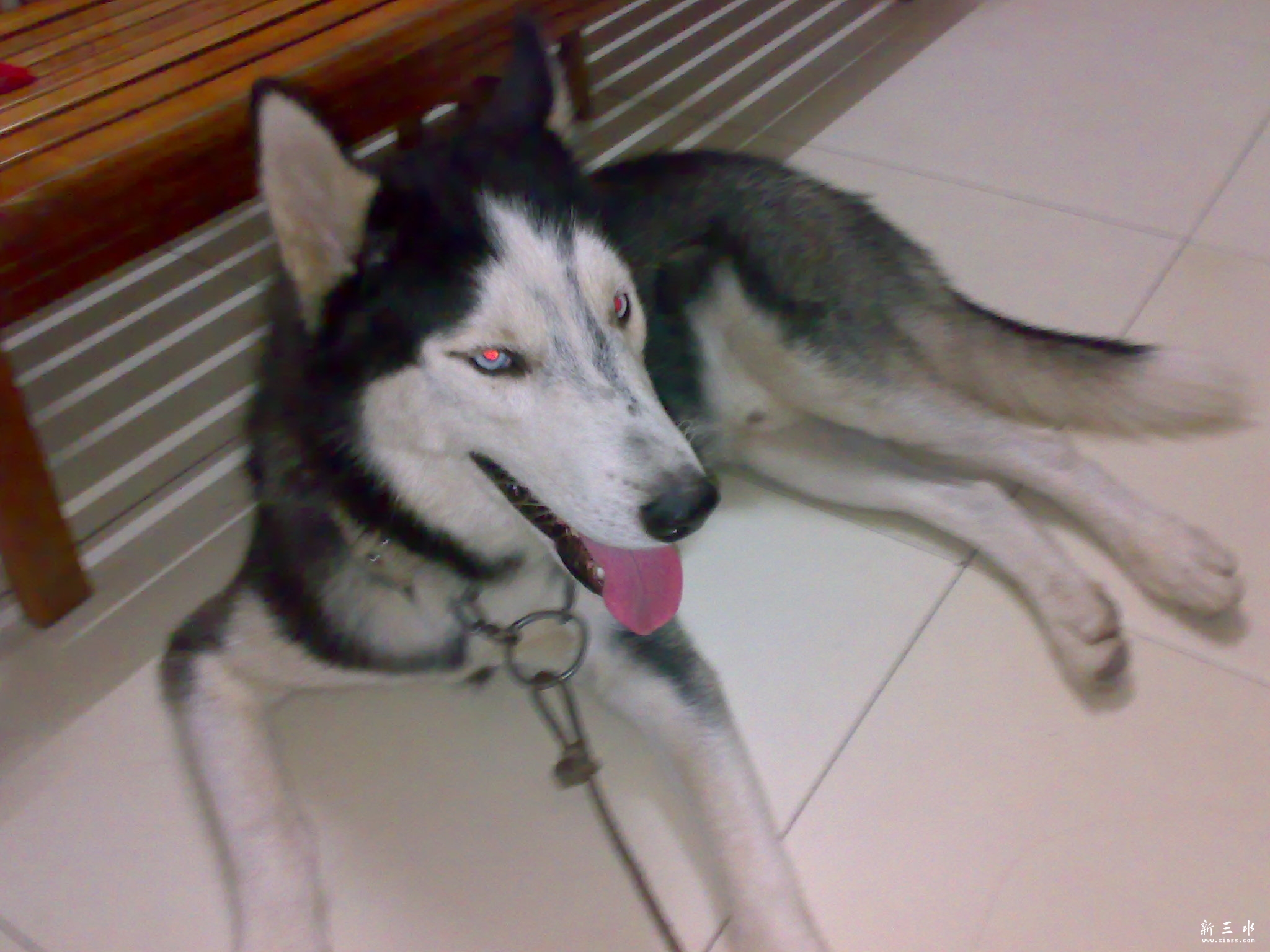 20111015270.jpg