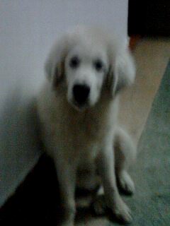 IMG0212A.jpg