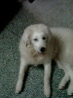 IMG0213A.jpg