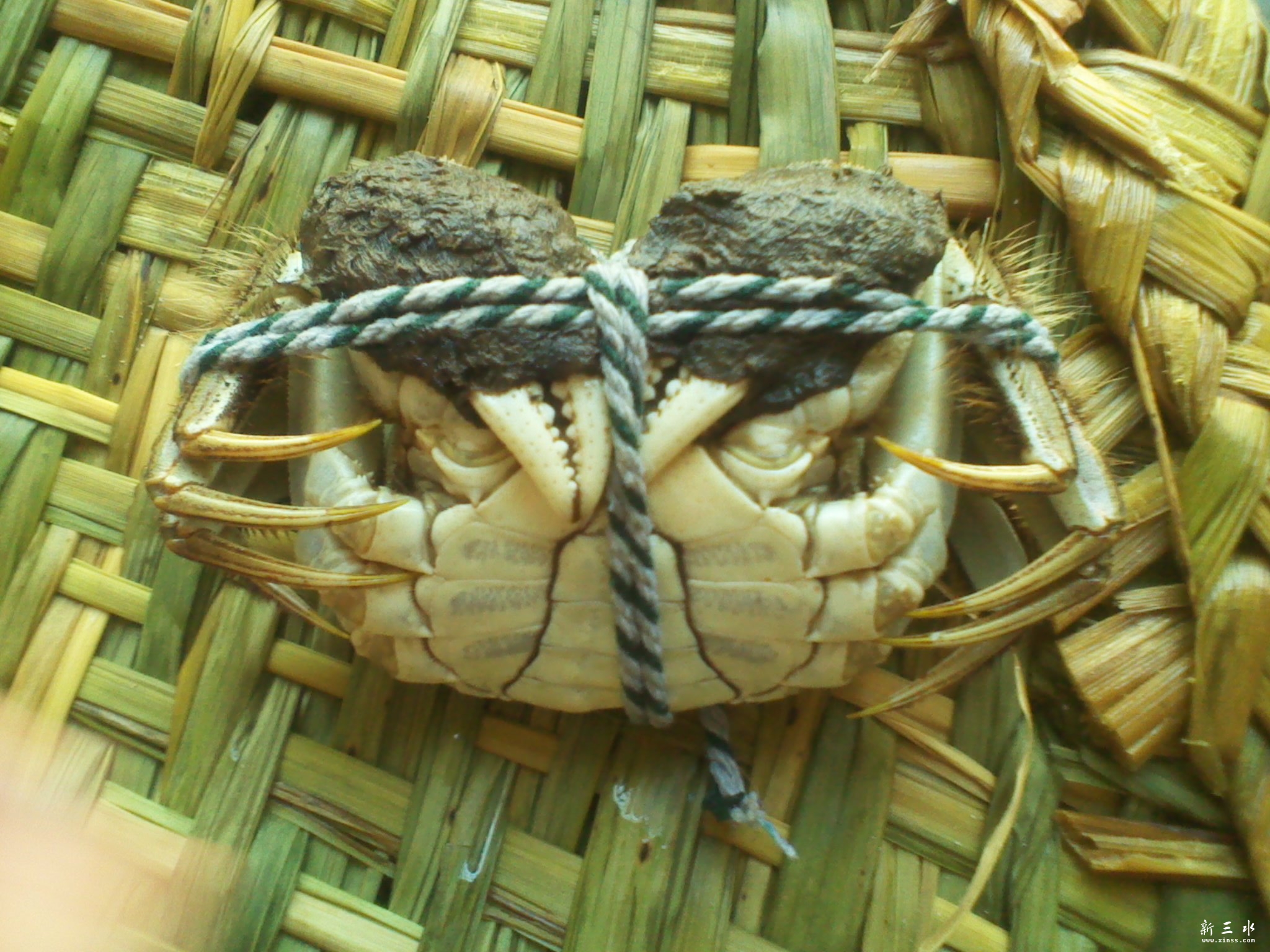 2011-11-06 12.01.37.jpg