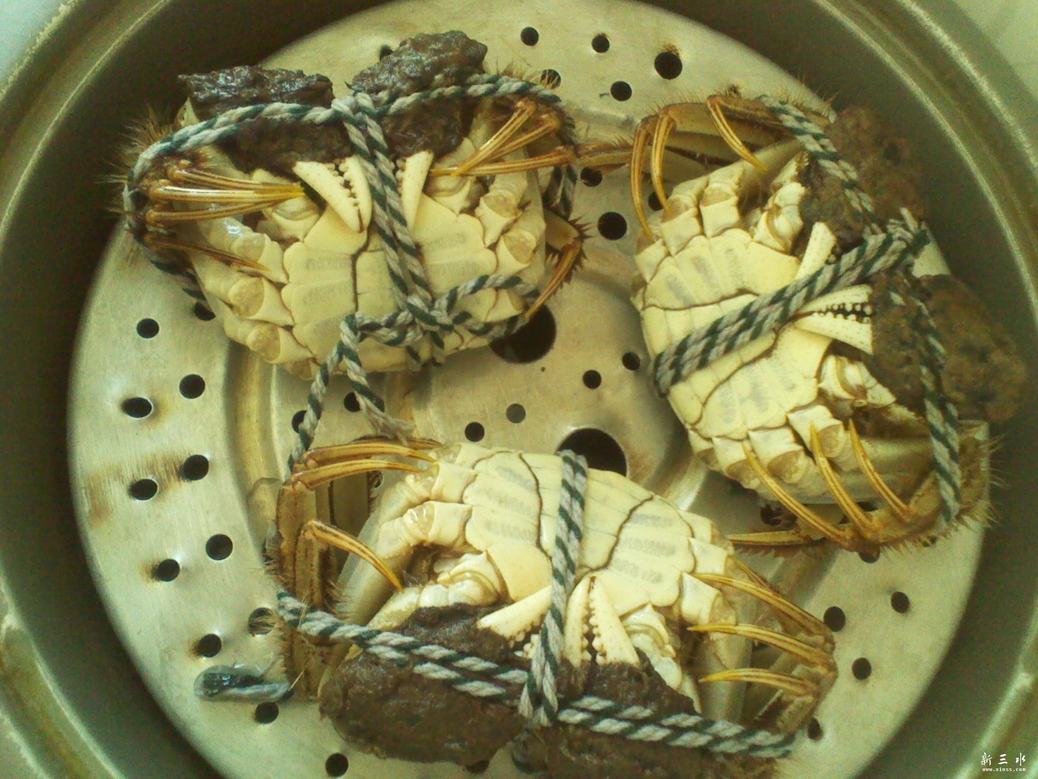 2011-11-06 12.02.22.jpg