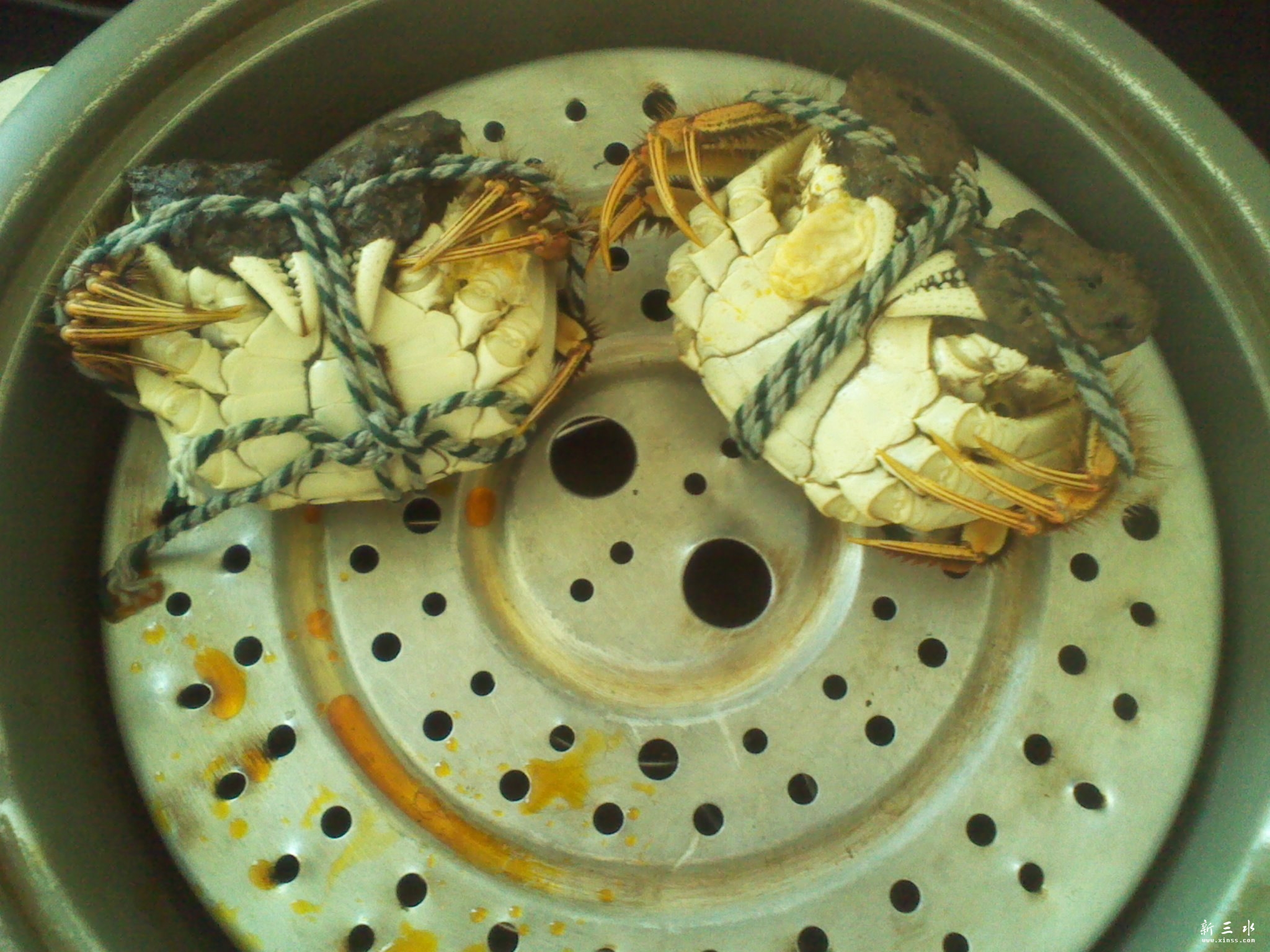 2011-11-06 12.26.06.jpg